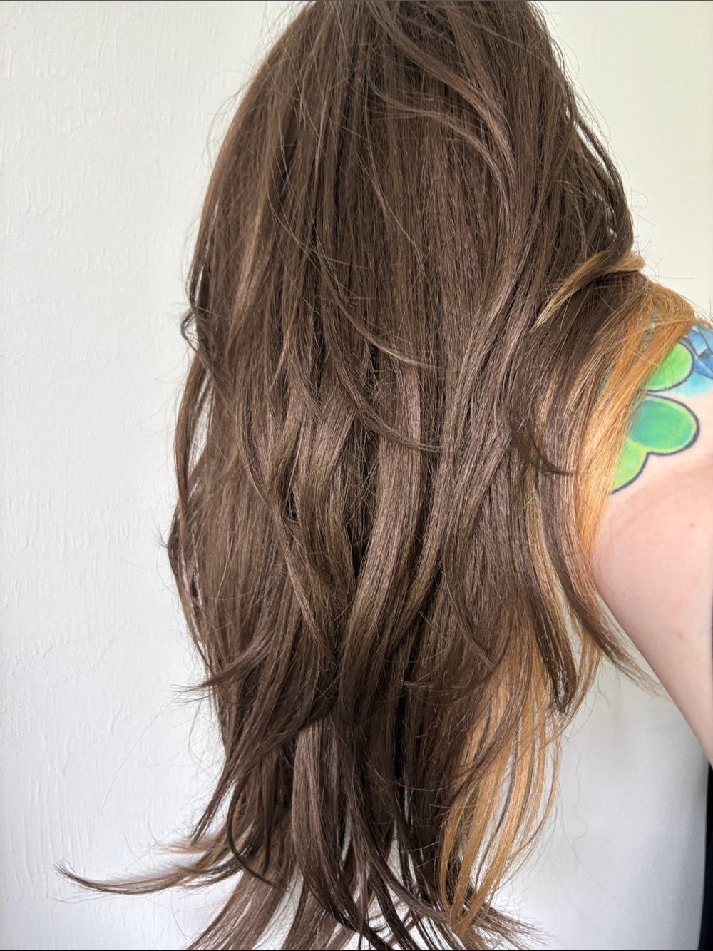 Blonde/Brown Lace Front Wig - Natural Honey Blonde - Picture 8 of 13